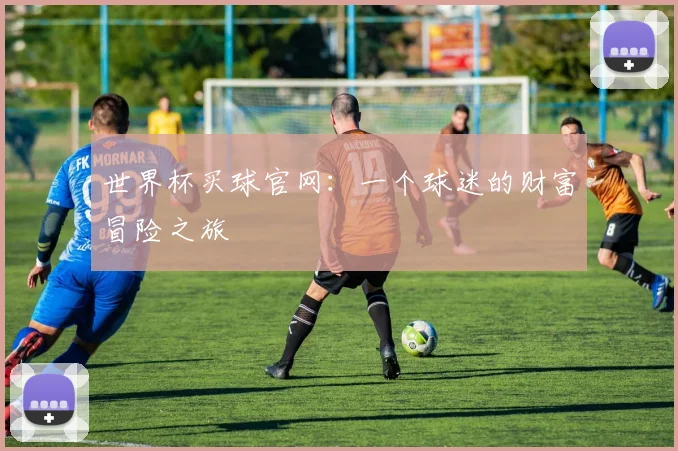 世界杯买球官网:一个球迷的财富冒险之旅