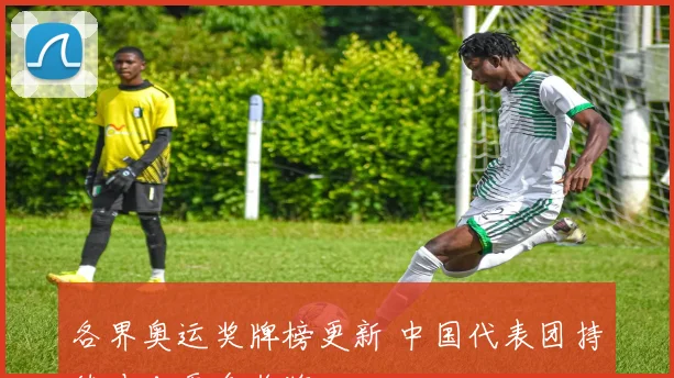 各界奥运奖牌榜更新 中国代表团持续冲击更多奖牌