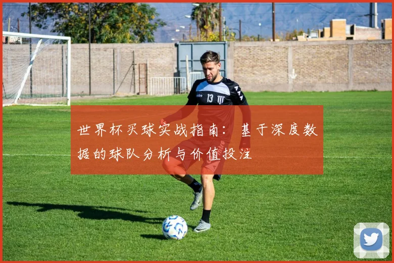 世界杯买球实战指南:基于深度数据的球队分析与价值投注