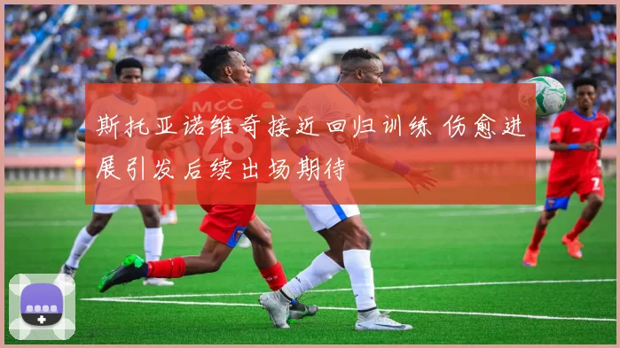 斯托亚诺维奇接近回归训练 伤愈进展引发后续出场期待