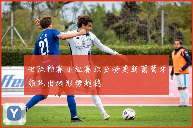 世欧预赛小组赛积分榜更新葡萄牙领跑出线形势趋稳