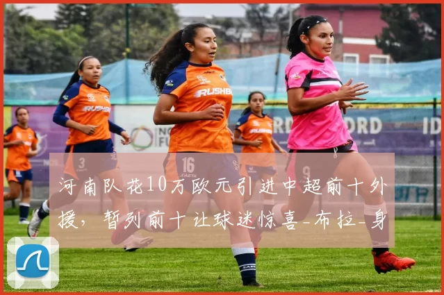 河南队花10万欧元引进中超前十外援，暂列前十让球迷惊喜_布拉_身价_排名